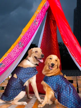 Vastramay Blue and Gold Silk Blend Siblings Set For Dogs